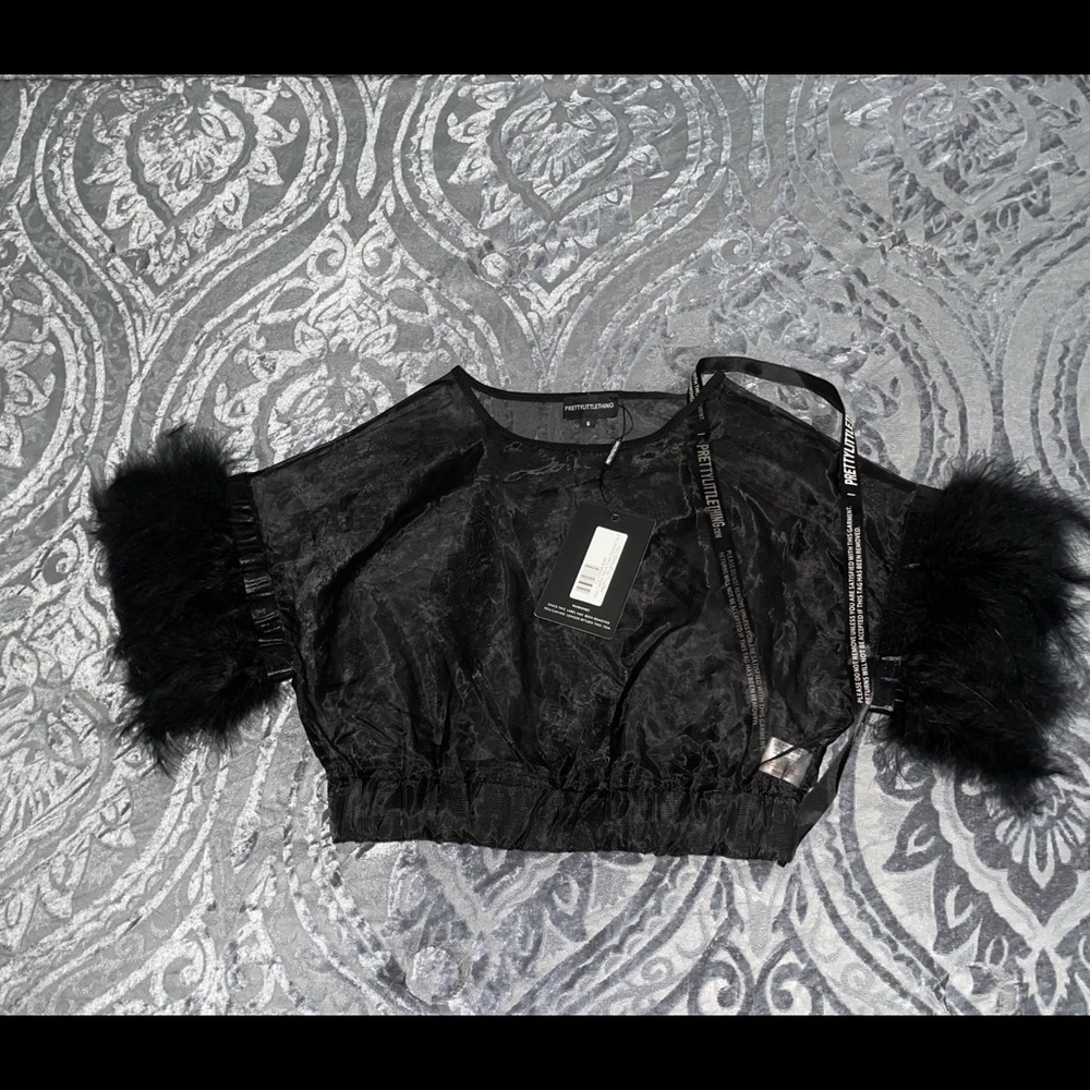 Black Feather Sleeve Sheer Organza Top